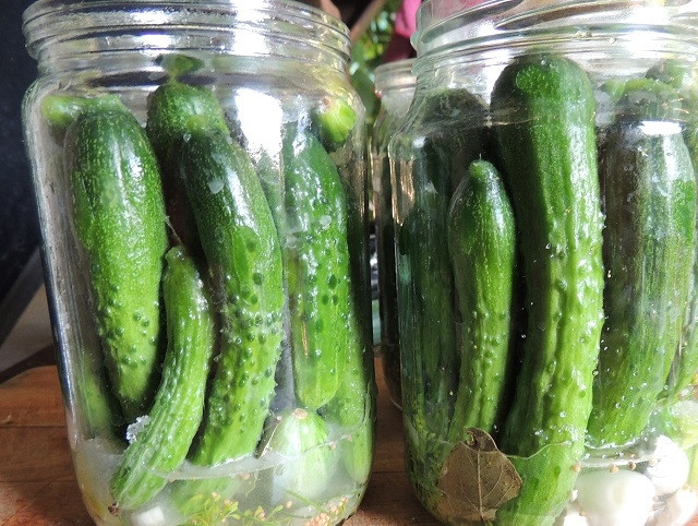 1. Этап. Маленькие огурчики на зиму: На дно банок разложите все специи и ингредиенты (равномерно их распределите по 4 банкам). Потом уложите огурцы. Добавьте соли по 1,5 ч.л. и сахара 2,5 ч.л. Влейте по 30 мл. уксуса в каждую банку.
