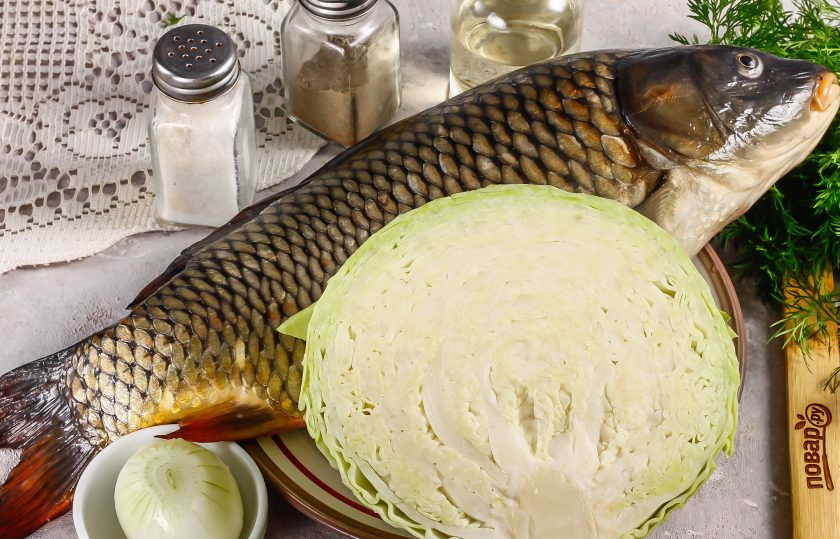 1. Этап. Запеченный карп в духовке с капустой: Подготовьте указанные ингредиенты. Тщательно выберите рыбу при покупке: жабры должны быть бордовыми, без слизи, а глаза карпа — не мутными. Очистите карпа от чешуи и удалите внутренности, вспоров брюшко. Промойте внутри и снаружи.