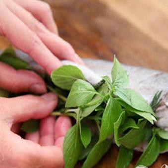 1. Этап. Форель, запеченная с базиликом: 3. Промываем ветки базилика, и раскладываем на предварительно расстеленное полотенце (для того, чтобы удалить лишнюю влагу с зелени). Затем зелень укладываем в брюшко каждой форели. Растительным маслом смазываем жаропрочную форму и укладываем туда форели. Между тушками рыбы оставляем расстояние примерно два сантиметра.