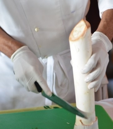 1. Этап. Салат миллионеров: 1. Первым делом очищаем ствол пальмы, которой около семи лет.