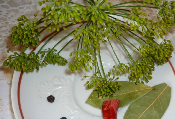 1. Этап. Фаршированные помидоры на зиму: На дно каждой банки выкладываем по зонтику укропа, лавровый лист, душистый перец горошком и небольшой кусочек острого перца.