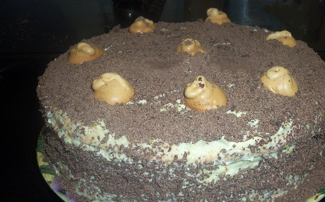 1. Этап. Бисквитный торт с коньяком: Тортик почти готов. Украшаем его остатками безе и тертым шоколадом. Подаем к чаю или кофе. Приятного аппетита!