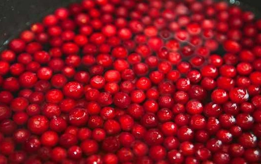 1. Этап. Морс из замороженных ягод: 3. Влейте чистую воду и поставьте на огонь.