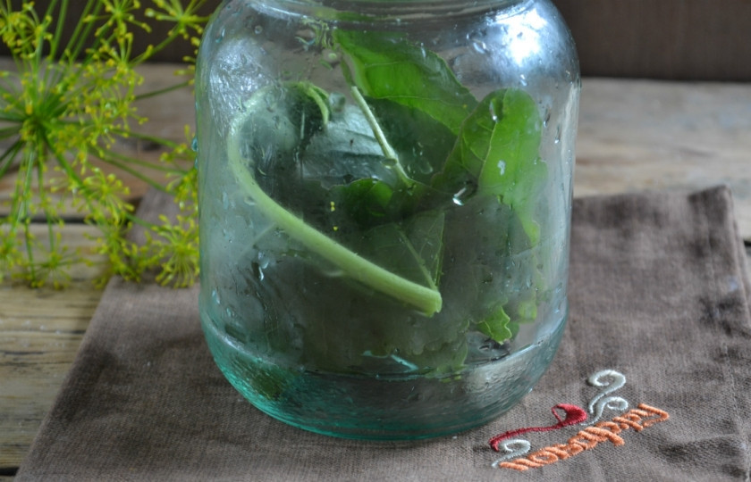 1. Этап. Соленые огурцы без закатки: В подготовленную стерилизованную банку положите укроп, листья щирицы, вишни, хрена, несколько зубков чеснока и перец горошком.