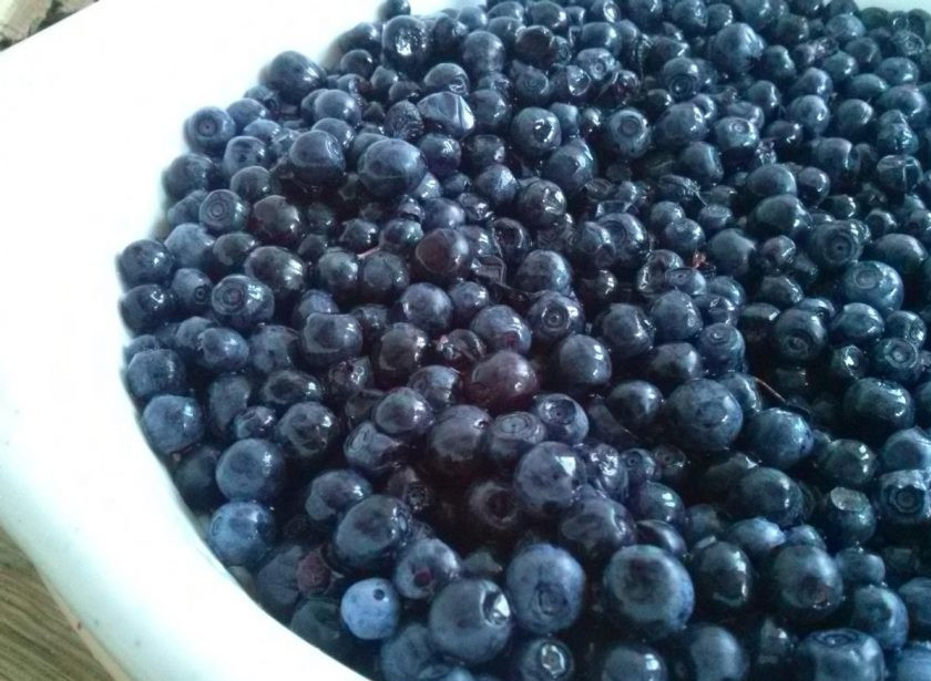 1. Этап. Варенье из черники без варки: Чернику переберите и промойте.