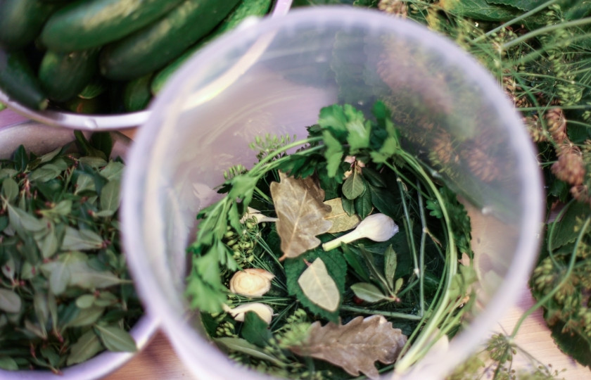 1. Этап. Квашеные огурчики: Пластиковые контейнеры (или банки) помойте с содой, не надо их стерилизовать. Выложите на дно зелень, головки чеснока. Кстати, можете лист хреновый добавить. Затем выложите плотно огурцы, потом на середине опять травы, снова огурцы — и так доверху.