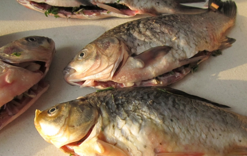 1. Этап. Фаршированный карп: 2. Отдельно нарежем мелко зелень, цукини и лук, смешаем со специями и начиняем каждую рыбину этой смесью.