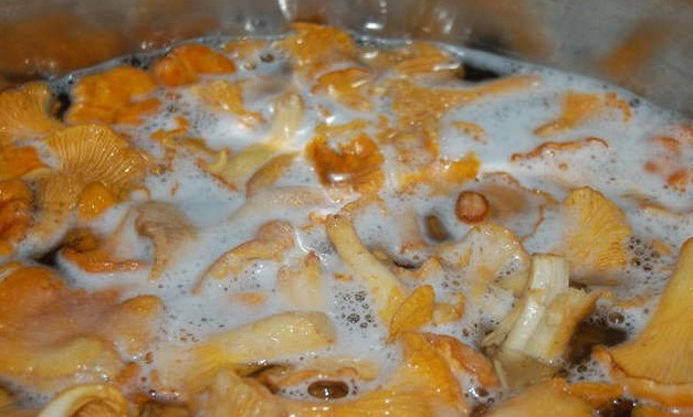 1. Stage. Pickled chanterelles without vinegar: Rinse the chanterelle well, fill it with water, salt a little and cook after boiling for 20 minutes over low heat. Then rinse under cold water.