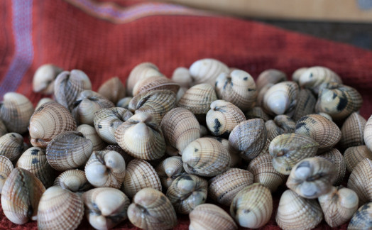 1. Этап. Спагетти с морскими мидиями: Отсортируйте все открытые или которые не закрываются, если вы их касаетесь, молюсски.