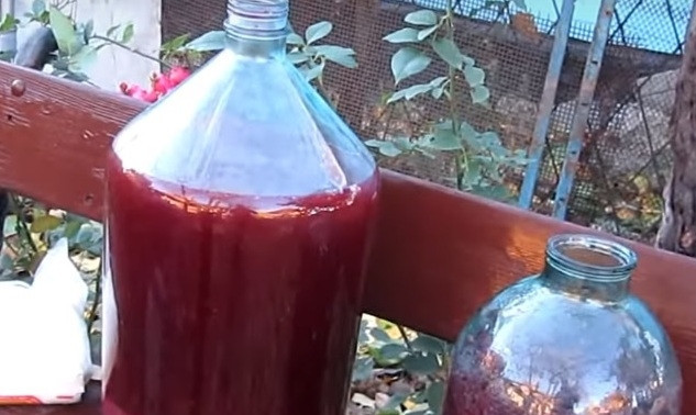 1. Этап. Самогон из винограда в домашних условиях: 6. Выглядит это как на фото. Емкость для гущи в два раза меньше, чем для вина.