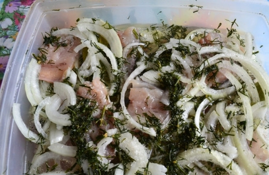 1. Этап. Засолка скумбрии Сагудай: В небольшой миске смешиваем воду, растительное масло и уксус, заливаем получившимся маринадом рыбку. Затем накрываем посуду с рыбой крышкой и отправляем в холодильник на 4-5 часов.