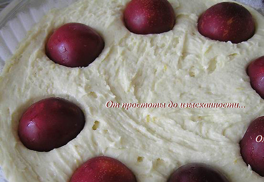 1. Этап. Пирог со сливами и цедрой лимона: Выложите тесто в смазанную маслом форму, диаметром 24 см, сверху выложите половинки слив, слегка вдавив в тесто.