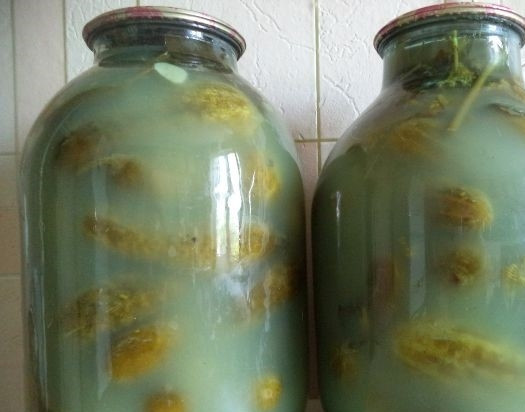 1. Этап. Соленые огурцы без уксуса на зиму: 5. Прокипятите рассол не менее трех минут. Это очень важно. Налейте рассол в подготовленную банку с огурцами. Банка должна быть полностью закрыта водой. Закатайте крышки специальным ключом. Переверните банки. Они должны охлаждаться в закутанном состоянии.