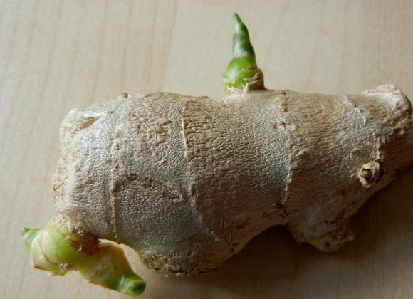 1. Этап. Таиландский соус: Имбирный корень почистить и отбить, чтобы пошёл специфичный запах.