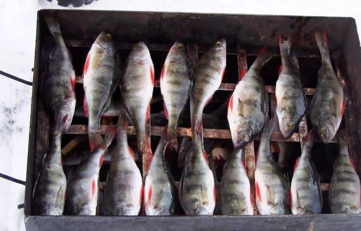 1. Этап. Окунь в коптильне: Установите в коптильню решетку и разложите окуньков. Накройте крышкой и поставьте на огонь. После того как из коптильни начнет сочиться белый дым, засеките 15 минут. Если рыба крупная – на копчение потребуется минут 20.