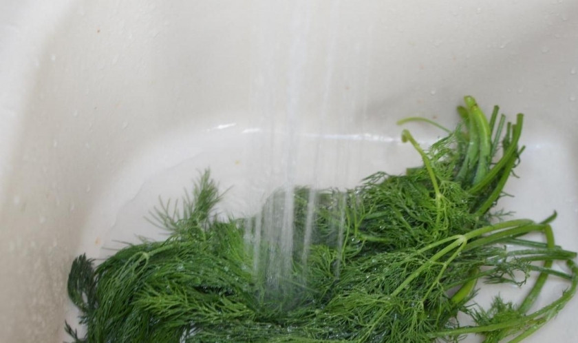 1. Этап. Быстрые маринованные огурцы: Промываем веточки укропа.