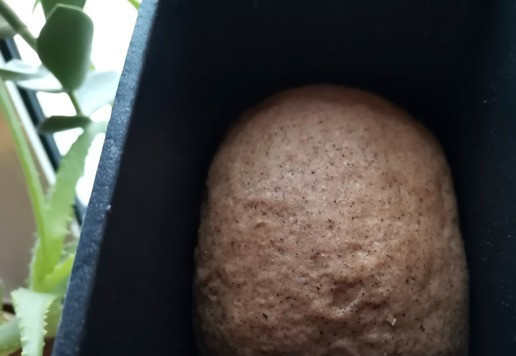 1. Этап. Формовой хлеб с сушёным луком: Разделить на две равные части, скатать колобки, уложить в смазанные маслом формы, накрыть полотенцем и оставить для расстойки.