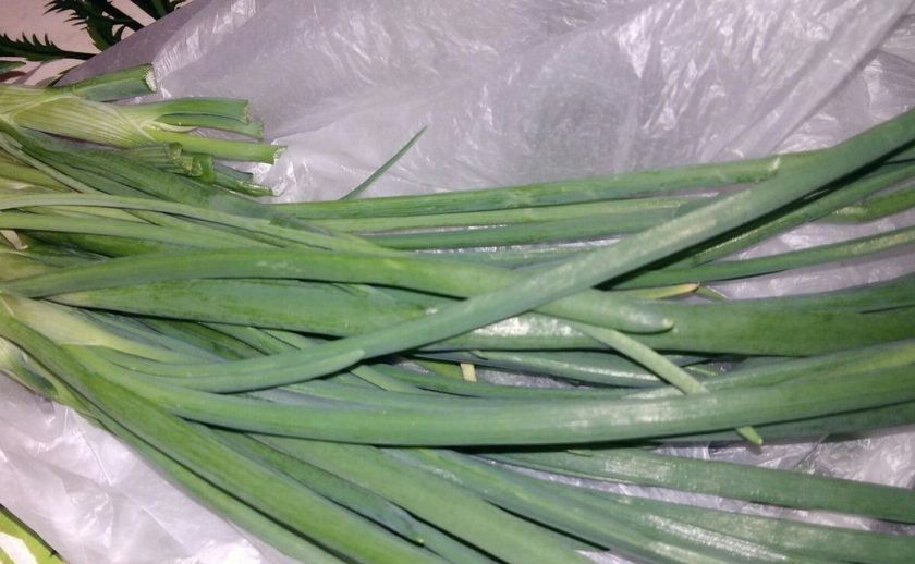 1. Этап. Лапша домашняя на курином бульоне: 5. Из зелени я добавляю укроп и зеленый лук. Лапшу отправьте в бульон тогда, когда картофель будет почти готов.