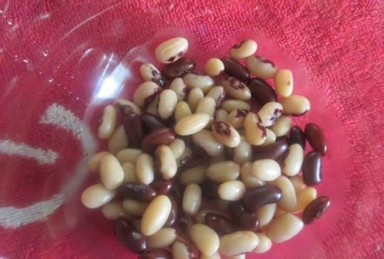 1. Этап. Салат из свеклы с фасолью и черносливом: 1. Фасоль на ночь замочите в холодной воде, а после отварите до готовности. Обсушите и выложите в салатник.