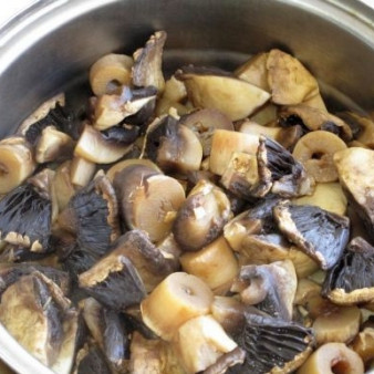 Вареные шампиньоны