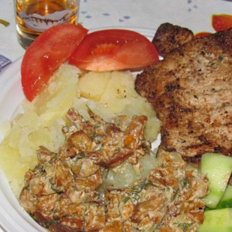 Лисички в сметанном соусе