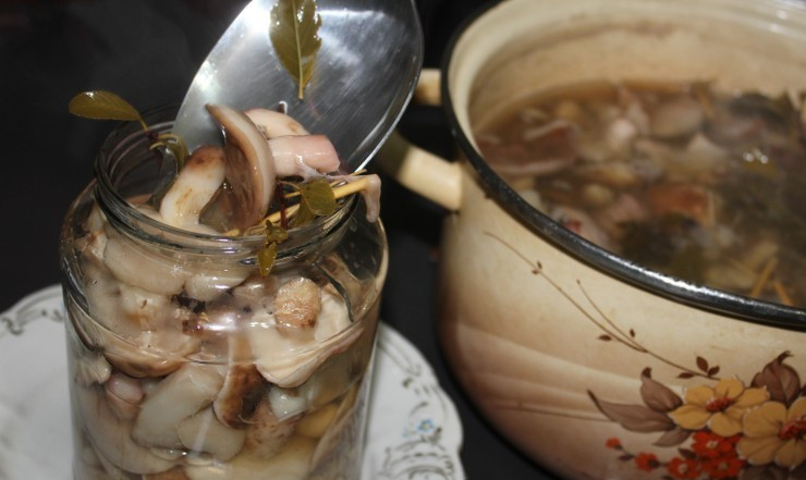 1. Этап. Маринованные маслята в масле: В пастеризованные банки разливаем маслята с маринадом и добавляем по столовой ложке масла. Затем банки закручиваем и даем им остыть.