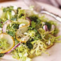 Pickled Asian Pear Salad with Creamy Lemon Dressing