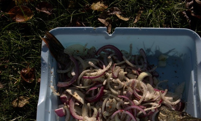 1. Этап. Щука на мангале: Уложите щуку в лоток. Засыпьте её луком, специями, перцем и солью. Выдавите сок лимона. Также промажьте брюшко. Оставьте щуку мариноваться на 3-5 часов.