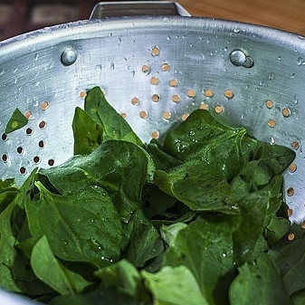 1. Этап. Лазанья с баклажанами: 4. Шпинат промойте и просушите.