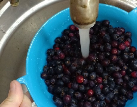 1. Этап. Варенье из ирги: Переложить ягоды в дуршлаг и аккуратно промыть.