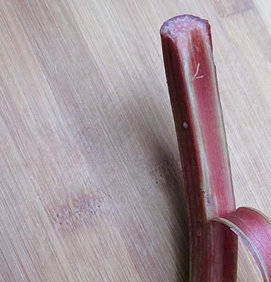 1. Этап. Ревень на зиму: 1. Ревень очищаем ножом. Если побеги молодые - можно не чистить.