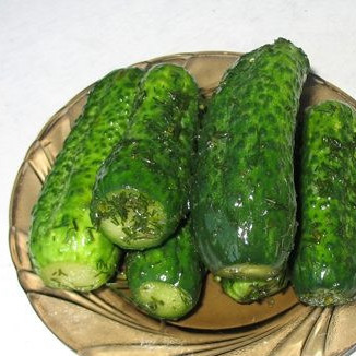 Малосольные огурцы без рассола