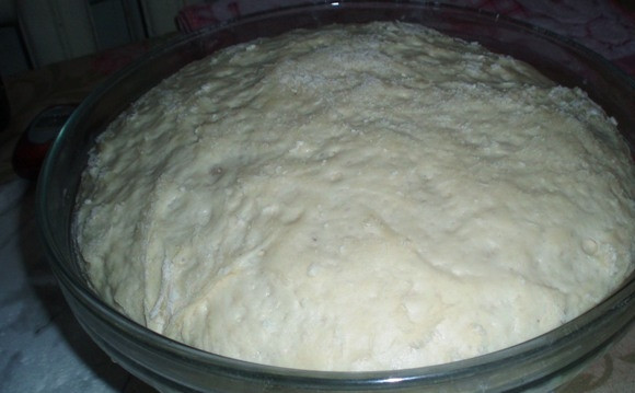 1. Этап. Плацинды с тыквой: 1. Для приготовления теста нужно в теплом кефире развести дрожжи, добавить яйцо, соль, щепотку сахара и муку. Поставьте тесто в теплое место, хорошо его вымесив. Когда оно подойдет - опустите его и оставьте снова в теплом месте для поднятия.