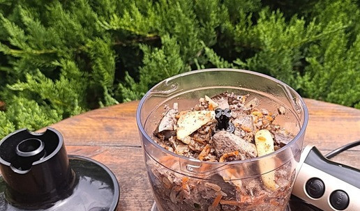 1. Этап. Паштет из печени индейки для пикника: Содержимое сковороды - пробить в блендере.