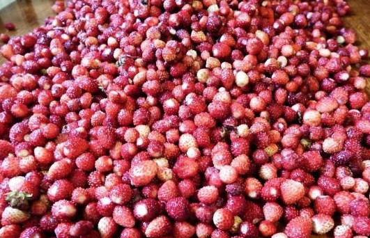 1. Этап. Земляничное варенье на сиропе: Землянику хорошенько переберите и промойте. Потом всю воду слейте до конца.