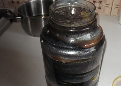 1. Этап. Малосольная сельдь: Прикроем банку крышкой и оставим рыбу на час-полтора, а затем уберем её в холодильник. Часа через 4 можно пробовать. Если по вашему вкусу рыба еще не достаточно просолилась, ждем еще часик.