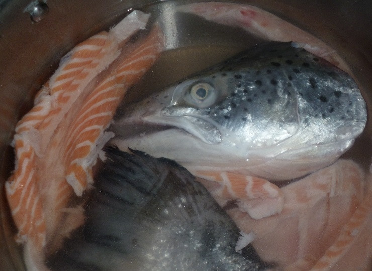 1. Этап. Уха с пшеном и картошкой: Возьмите рыбу, которую вы будете использовать, промойте ее. Отлично для ухи подходят хребты, плавники и головы рыб. Вкусная уха получается из семги или форели. Положите рыбу в кастрюлю, залейте её чистой водой. Варите двадцать минут.