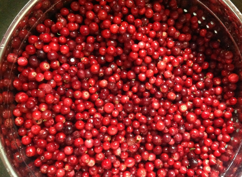 1. Этап. Компот из брусники на зиму: Теперь переберите бруснику и тщательно ее промойте.