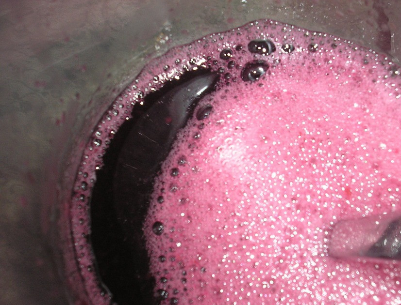 1. Этап. Виноградный шербет: В получившийся виноградный сок добавьте сахар, воду и вино. Перемешайте до полного растворения сахара.