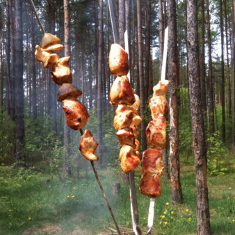 Куриный шашлык с уксусом и луком