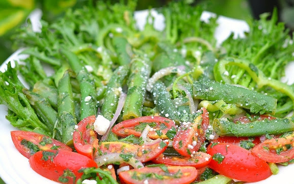 1. Этап. Вкусный салат с фасолью: 9. Подаю салат порционно: выкладываю на плоскую тарелку листья салата, затем отварную фасоль, а рядом смесь из перца, лука, петрушки и томатов. Поливаю все приготовленной ранее заправкой, посыпаю тертым пармезаном.