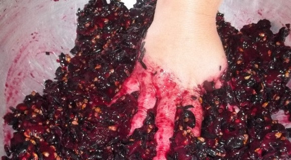 1. Этап. Пеламуши: 3. Толките до тех пор, пока не останутся только шкурки и косточки. Можно мять ягоды и руками.