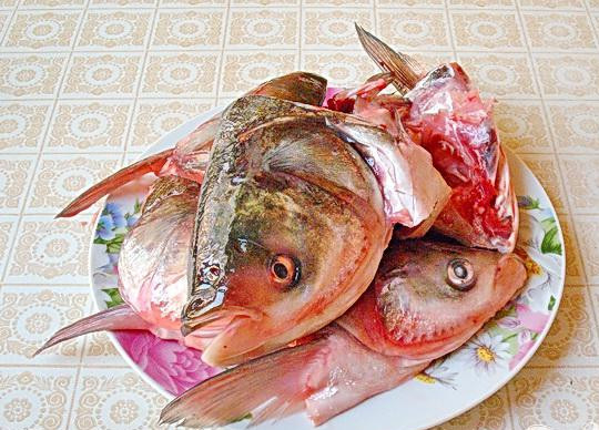 1. Этап. Заливное из голов толстолоба: 1. Разрезаем на половинки головы толстолоба (заранее удаляем жабры, когда чистим рыбу), под проточной водой промываем до тех пор куски голов, пока не станет чистой вода.