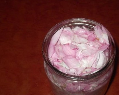 1. Этап. Домашний ликер: 2. Наполните бутылки на три четверти лепестками и залейте алкоголем. Закупорьте тару плотно пластиковыми крышками и поставьте в теплое место. Допускается немного поэкспериментировать, для этого выставьте напиток под солнечные лучи.