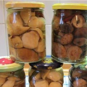 Маринованные белые грибы с корицей