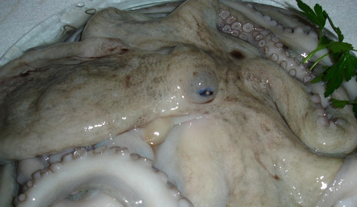 1. Этап. Осьминог с картофелем: Размораживаем тушку осьминога.