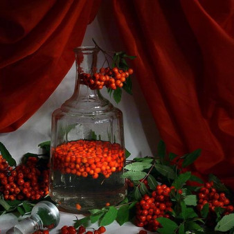 Рябиновая настойка на водке