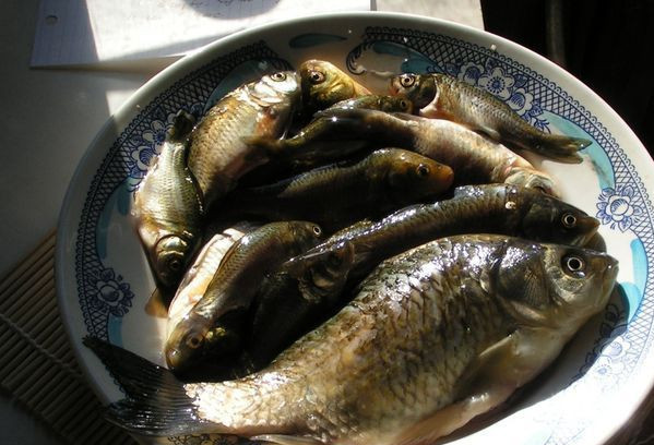 1. Этап. Речная рыба в мультиварке: Рыбу почистить от чешуи и внутренностей и хорошо промыть. Мелкую рыбу оставляем целиком, более крупную лучше нарезать на куски.