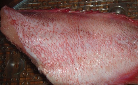 1. Этап. Морской окунь отварной: Если вы используете замороженную рыбу, то дайте ей сначала оттаять, почистите её и выпотрошите. Натрите любыми любимыми специями и солью, сбрызните лимонным соком и положите в кастрюльку. Залейте водой и варите до полной готовности двадцать минут.