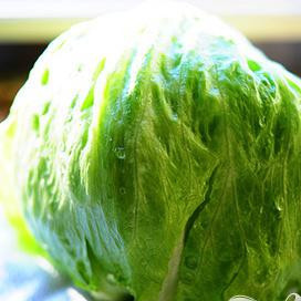 1. Этап. Индейка и салат-латук: Переверните салат-латук и положите его на полотенце, пусть он обсохнет.